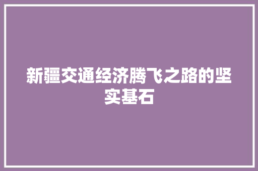 新疆交通经济腾飞之路的坚实基石 新疆交通经济腾飞之路的坚实基石