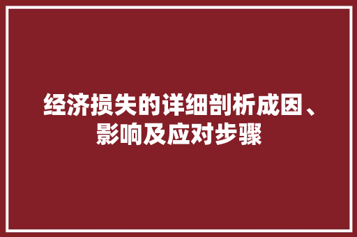 经济损失的详细剖析成因、影响及应对步骤 经济损失的详细剖析成因、影响及应对步骤