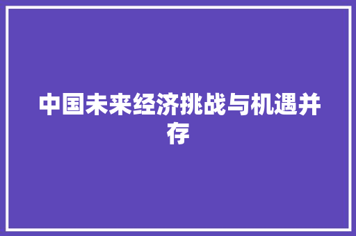 中国未来经济挑战与机遇并存 中国未来经济挑战与机遇并存