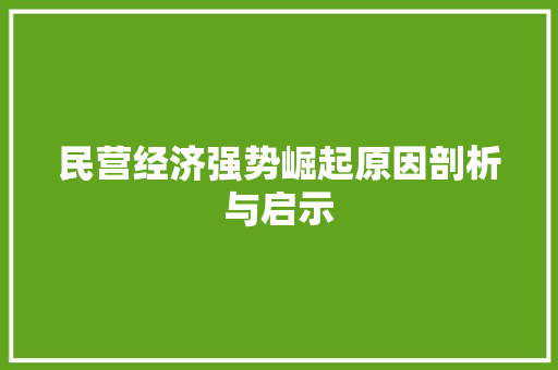 民营经济强势崛起原因剖析与启示 民营经济强势崛起原因剖析与启示