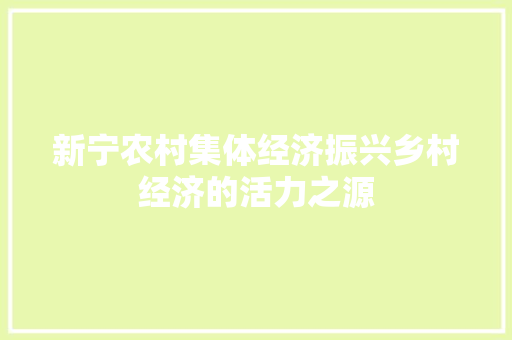 新宁农村集体经济振兴乡村经济的活力之源 新宁农村集体经济振兴乡村经济的活力之源