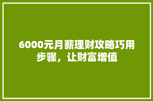6000元月薪理财攻略巧用步骤,让财富增值 6000元月薪理财攻略巧用步骤,让财富增值