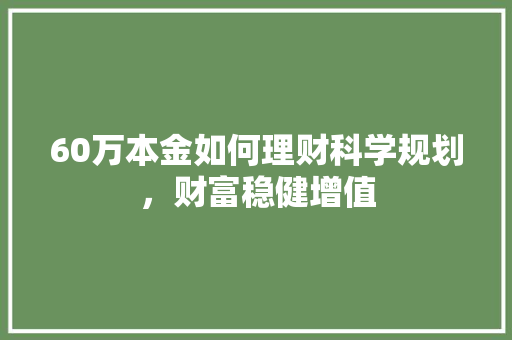 60万本金如何理财科学规划，财富稳健增值