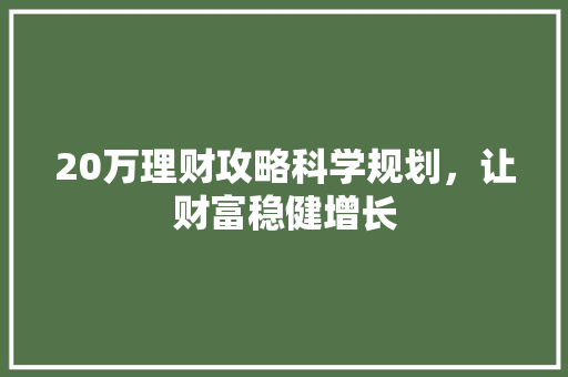 20万理财攻略科学规划,让财富稳健增长 20万理财攻略科学规划,让财富稳健增长