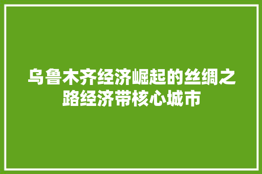 乌鲁木齐经济崛起的丝绸之路经济带核心城市 乌鲁木齐经济崛起的丝绸之路经济带核心城市