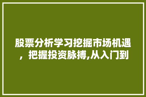 股票分析学习挖掘市场机遇,把握投资脉搏,从入门到精通之路 股票分析学习挖掘市场机遇,把握投资脉搏,从入门到精通之路