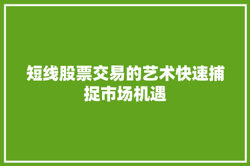 短线股票交易的艺术快速捕捉市场机遇 短线股票交易的艺术快速捕捉市场机遇