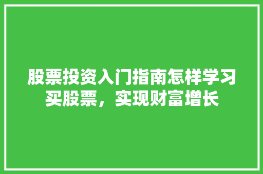 股票投资入门指南怎样学习买股票,实现财富增长 股票投资入门指南怎样学习买股票,实现财富增长