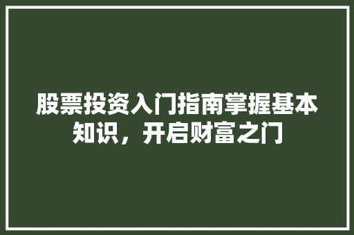 股票投资入门指南掌握基本知识,开启财富之门 股票投资入门指南掌握基本知识,开启财富之门