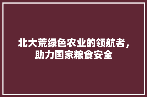 北大荒绿色农业的领航者,助力国家粮食安全 北大荒绿色农业的领航者,助力国家粮食安全
