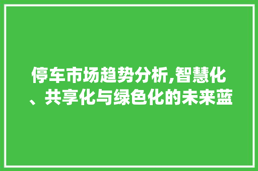停车市场趋势分析,智慧化、共享化与绿色化的未来蓝图_停车市场趋势分析 停车市场趋势分析,智慧化、共享化与绿色化的未来蓝图_停车市场趋势分析