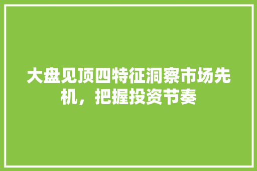 大盘见顶四特征洞察市场先机,把握投资节奏 大盘见顶四特征洞察市场先机,把握投资节奏
