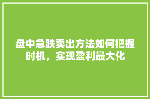 盘中急跌卖出方法如何把握时机,实现盈利最大化 盘中急跌卖出方法如何把握时机,实现盈利最大化