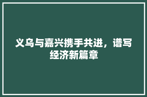 义乌与嘉兴携手共进,谱写经济新篇章 义乌与嘉兴携手共进,谱写经济新篇章