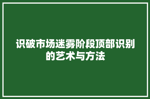 识破市场迷雾阶段顶部识别的艺术与方法 识破市场迷雾阶段顶部识别的艺术与方法