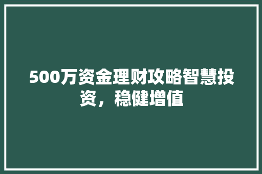 500万资金理财攻略智慧投资,稳健增值 500万资金理财攻略智慧投资,稳健增值