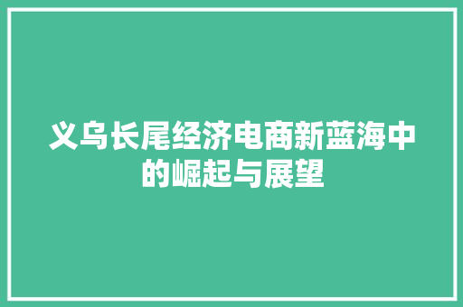 义乌长尾经济电商新蓝海中的崛起与展望 义乌长尾经济电商新蓝海中的崛起与展望