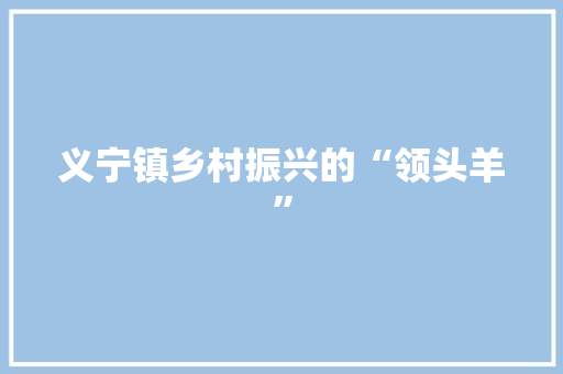 义宁镇乡村振兴的“领头羊” 义宁镇乡村振兴的“领头羊”