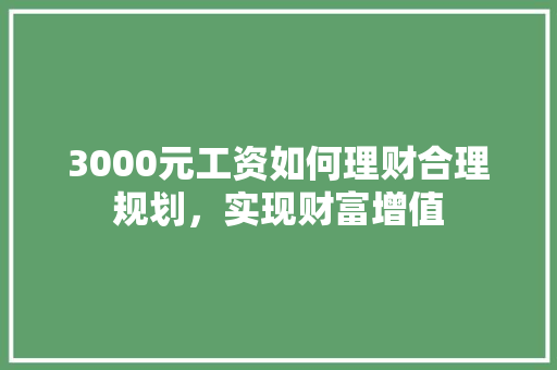 3000元工资如何理财合理规划,实现财富增值 3000元工资如何理财合理规划,实现财富增值