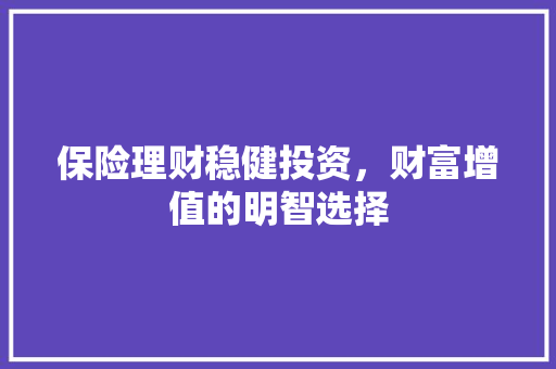 保险理财稳健投资,财富增值的明智选择 保险理财稳健投资,财富增值的明智选择
