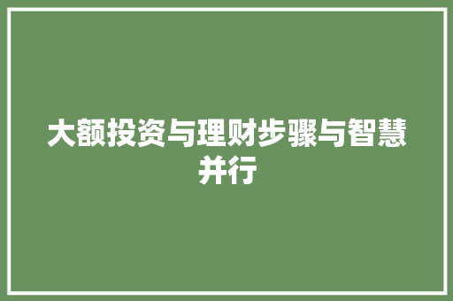大额投资与理财步骤与智慧并行 大额投资与理财步骤与智慧并行