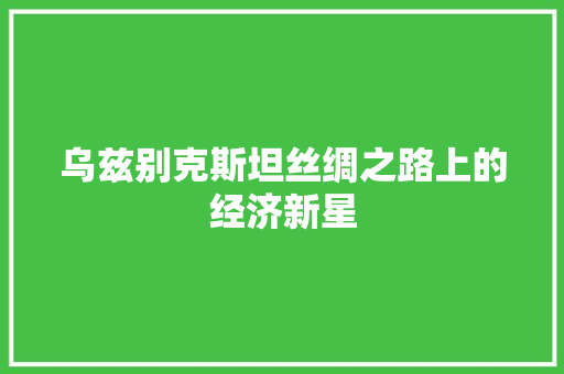 乌兹别克斯坦丝绸之路上的经济新星 乌兹别克斯坦丝绸之路上的经济新星