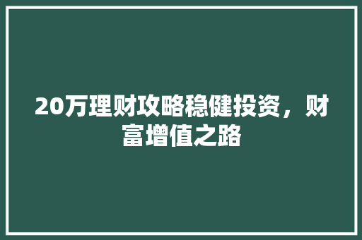 20万理财攻略稳健投资,财富增值之路 20万理财攻略稳健投资,财富增值之路
