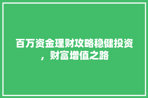 百万资金理财攻略稳健投资,财富增值之路 百万资金理财攻略稳健投资,财富增值之路