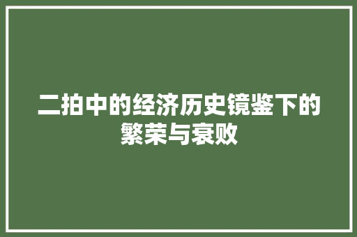 二拍中的经济历史镜鉴下的繁荣与衰败 二拍中的经济历史镜鉴下的繁荣与衰败