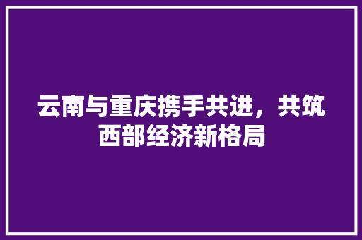 云南与重庆携手共进,共筑西部经济新格局 云南与重庆携手共进,共筑西部经济新格局