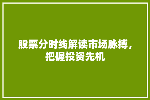 股票分时线解读市场脉搏，把握投资先机