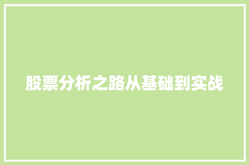 股票分析之路从基础到实战 股票分析之路从基础到实战