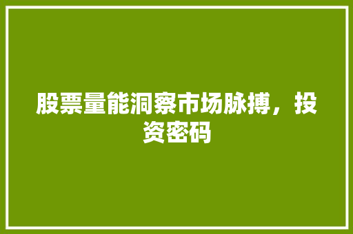 股票量能洞察市场脉搏,投资密码 股票量能洞察市场脉搏,投资密码