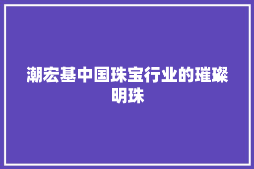 潮宏基中国珠宝行业的璀璨明珠 潮宏基中国珠宝行业的璀璨明珠