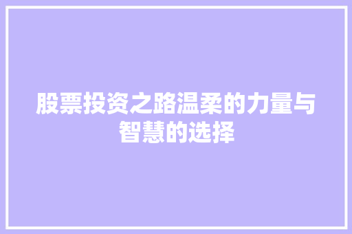 股票投资之路温柔的力量与智慧的选择 股票投资之路温柔的力量与智慧的选择