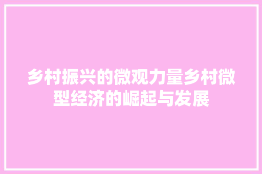 乡村振兴的微观力量乡村微型经济的崛起与发展 乡村振兴的微观力量乡村微型经济的崛起与发展