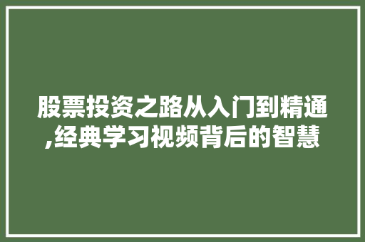 股票投资之路从入门到精通,经典学习视频背后的智慧 股票投资之路从入门到精通,经典学习视频背后的智慧