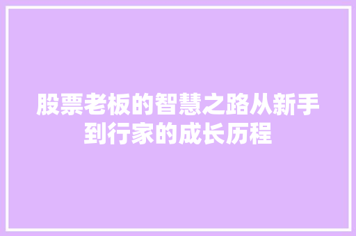 股票老板的智慧之路从新手到行家的成长历程 股票老板的智慧之路从新手到行家的成长历程