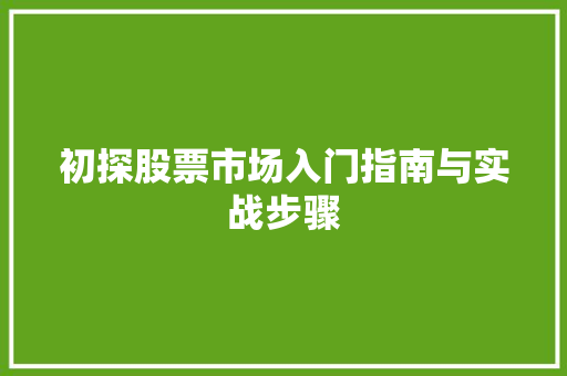 初探股票市场入门指南与实战步骤 初探股票市场入门指南与实战步骤