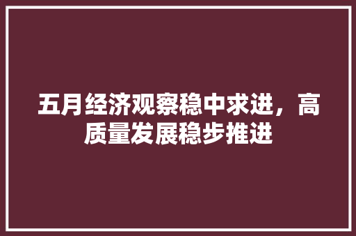 五月经济观察稳中求进,高质量发展稳步推进 五月经济观察稳中求进,高质量发展稳步推进
