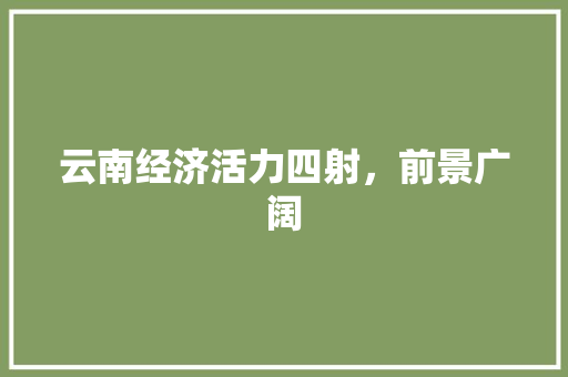 云南经济活力四射,前景广阔 云南经济活力四射,前景广阔