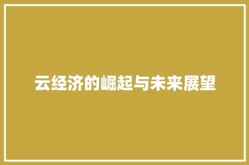 云经济的崛起与未来展望 云经济的崛起与未来展望