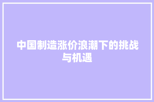 中国制造涨价浪潮下的挑战与机遇