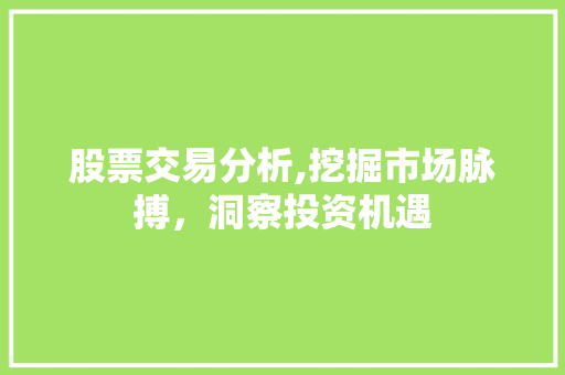 股票交易分析,挖掘市场脉搏,洞察投资机遇 股票交易分析,挖掘市场脉搏,洞察投资机遇