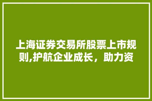 上海证券交易所股票上市规则,护航企业成长,助力资本市场繁荣 上海证券交易所股票上市规则,护航企业成长,助力资本市场繁荣
