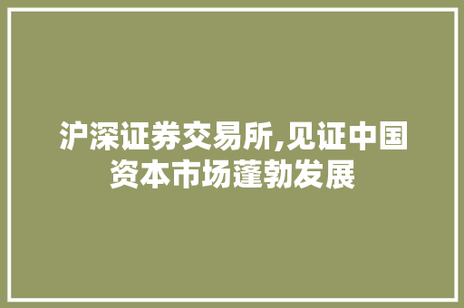 沪深证券交易所,见证中国资本市场蓬勃发展 沪深证券交易所,见证中国资本市场蓬勃发展