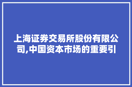 上海证券交易所股份有限公司,中国资本市场的重要引擎 上海证券交易所股份有限公司,中国资本市场的重要引擎