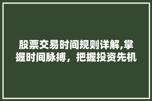 股票交易时间规则详解,掌握时间脉搏,把握投资先机 股票交易时间规则详解,掌握时间脉搏,把握投资先机