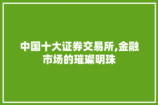 中国十大证券交易所,金融市场的璀璨明珠 中国十大证券交易所,金融市场的璀璨明珠
