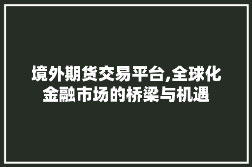 境外期货交易平台,全球化金融市场的桥梁与机遇 境外期货交易平台,全球化金融市场的桥梁与机遇
